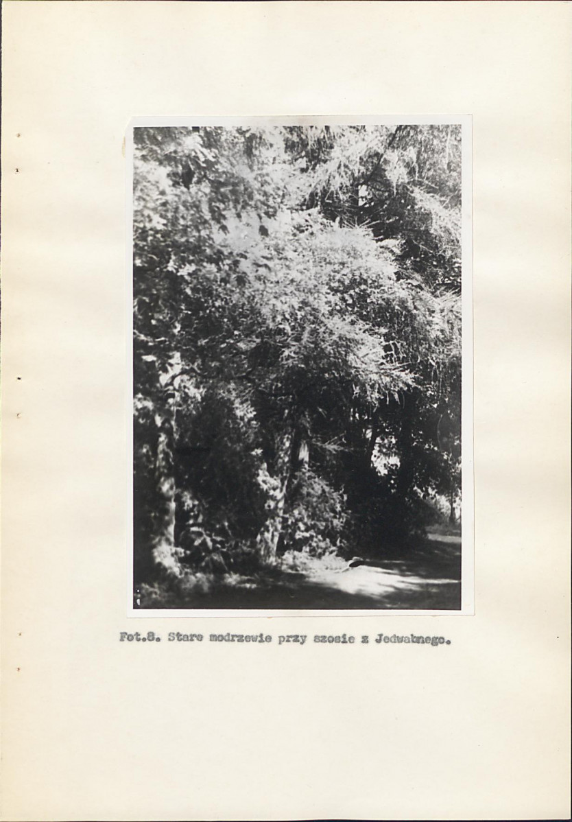 EP - Ewidencja parkowa, skan nr 29