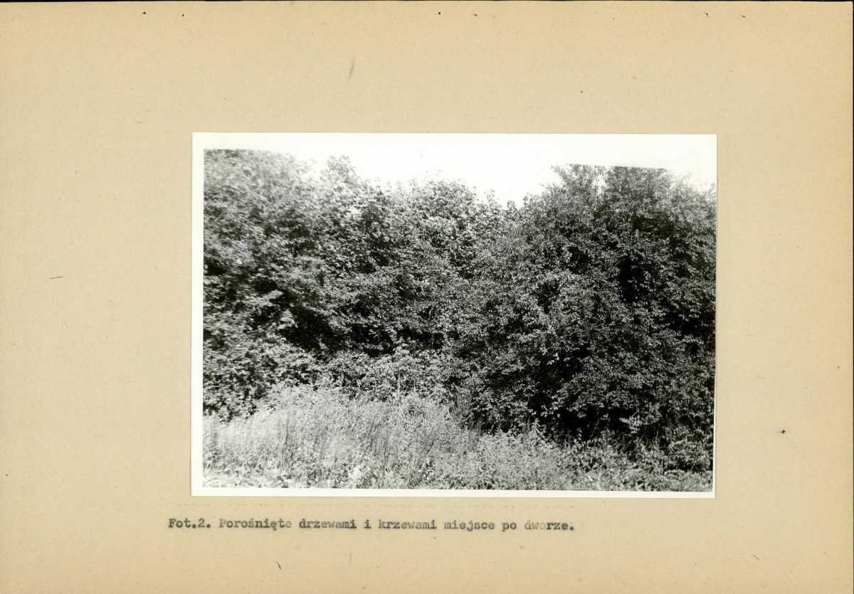 EP - Ewidencja parkowa, skan nr 31
