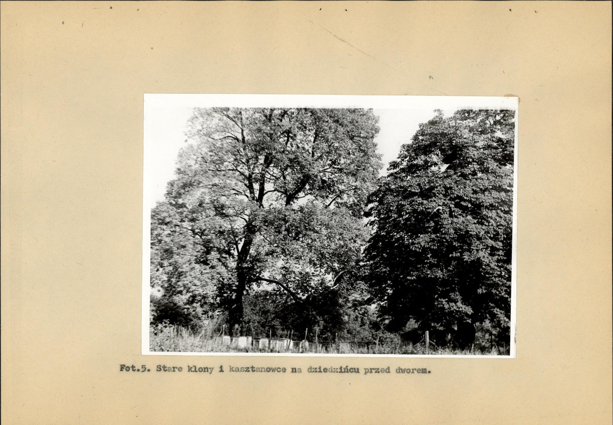 EP - Ewidencja parkowa, skan nr 34