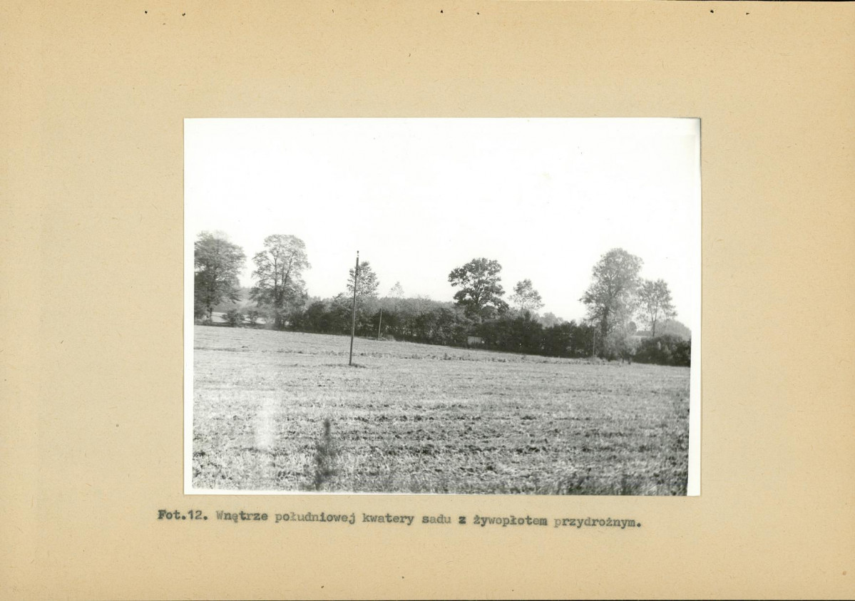 EP - Ewidencja parkowa, skan nr 41