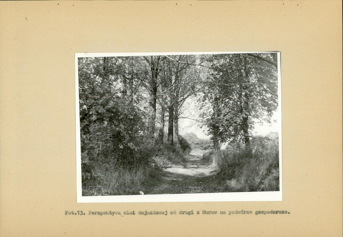 EP - Ewidencja parkowa, skan nr 42