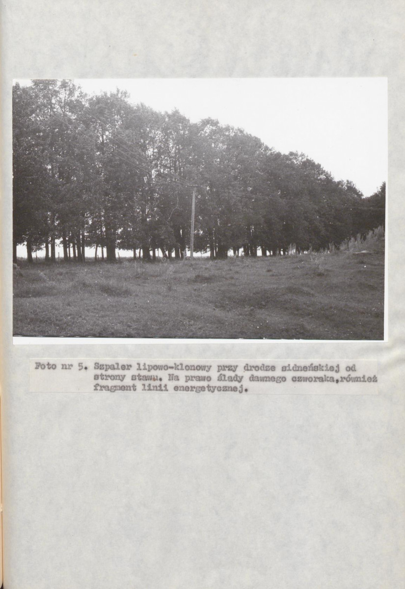 EP - Ewidencja parkowa, skan nr 40