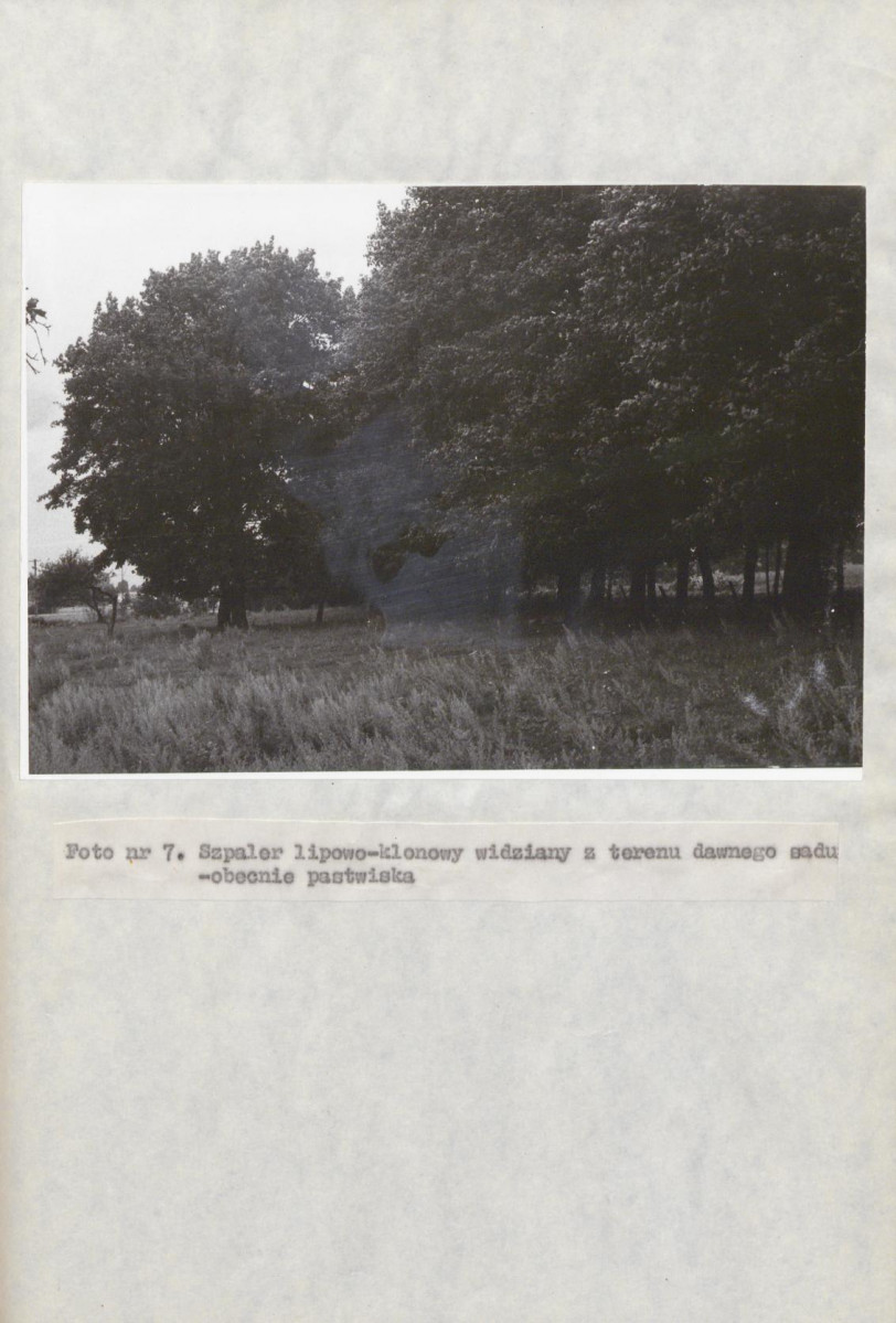 EP - Ewidencja parkowa, skan nr 42