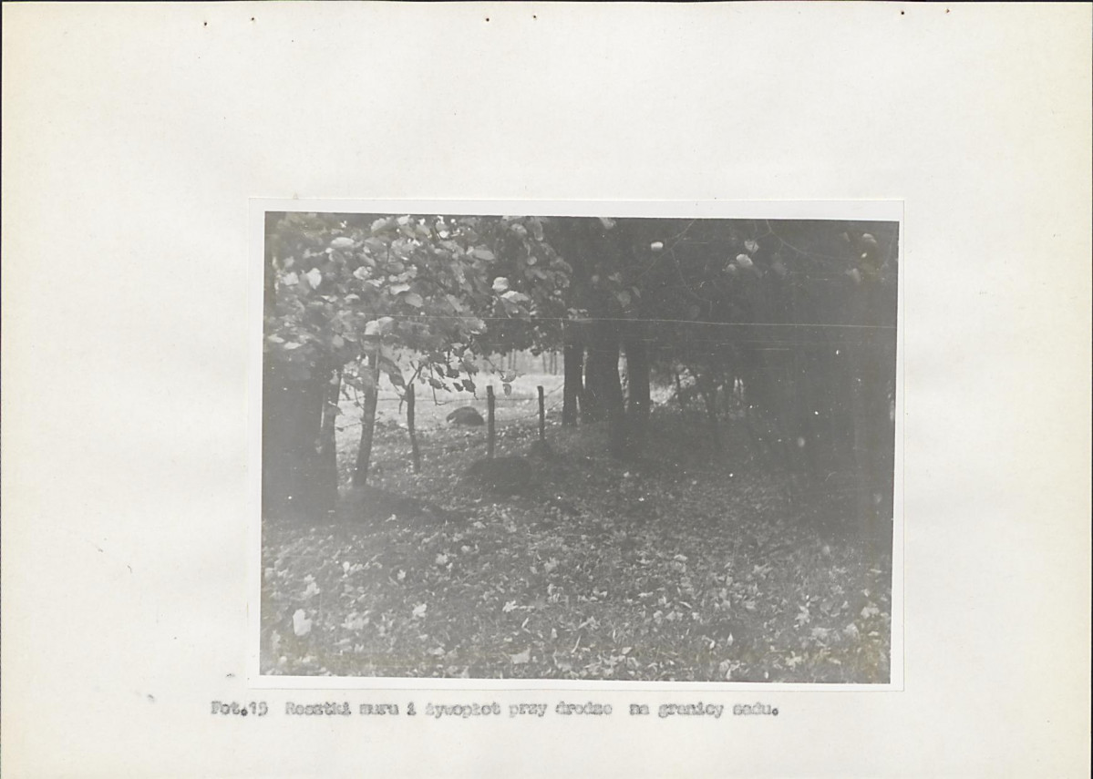 Ewidencja parkowa, skan nr 40