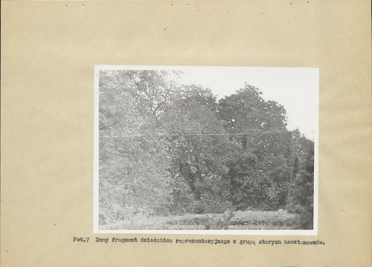 Ewidencja parkowa, skan nr 35