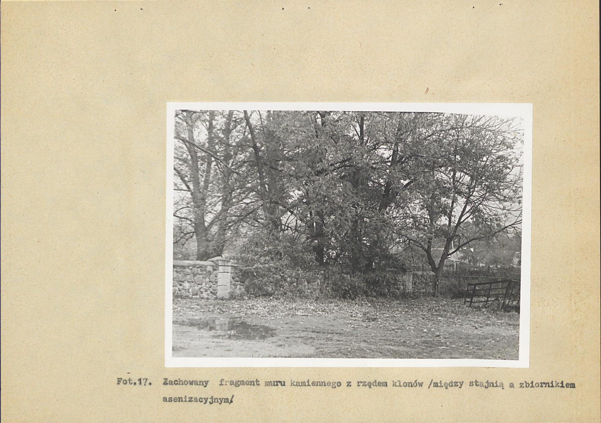 Ewidencja parkowa, skan nr 45