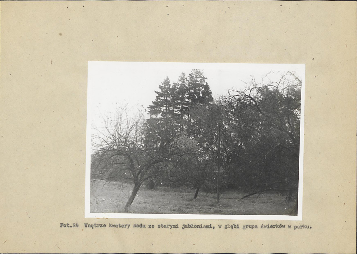 Ewidencja parkowa, skan nr 52