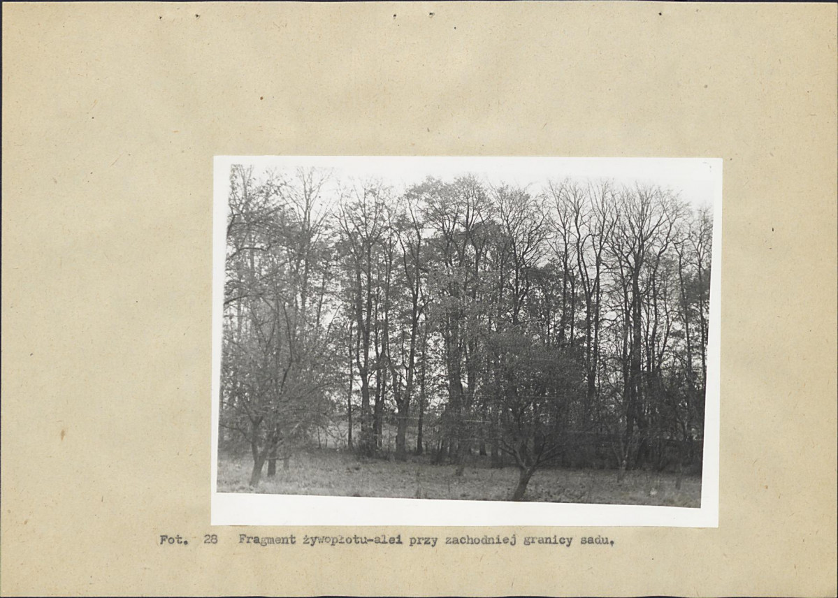 Ewidencja parkowa, skan nr 56