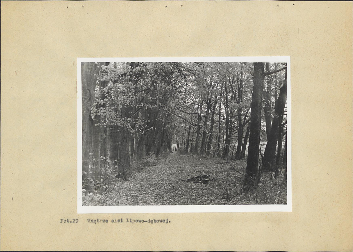 Ewidencja parkowa, skan nr 57
