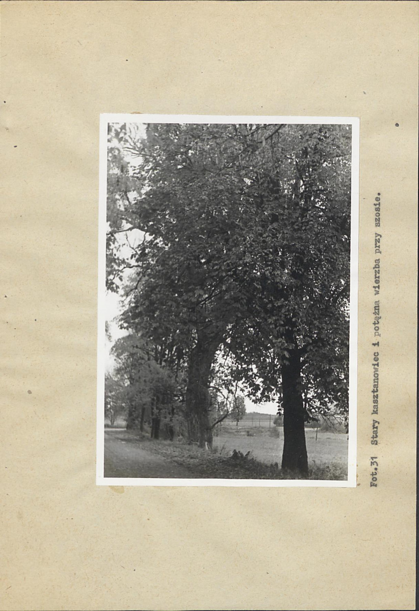 Ewidencja parkowa, skan nr 59