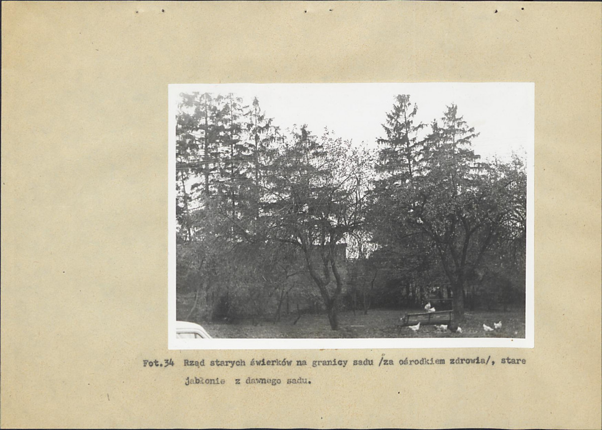 Ewidencja parkowa, skan nr 62
