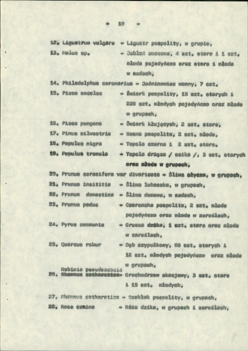 Ewidencja parkowa, skan nr 24