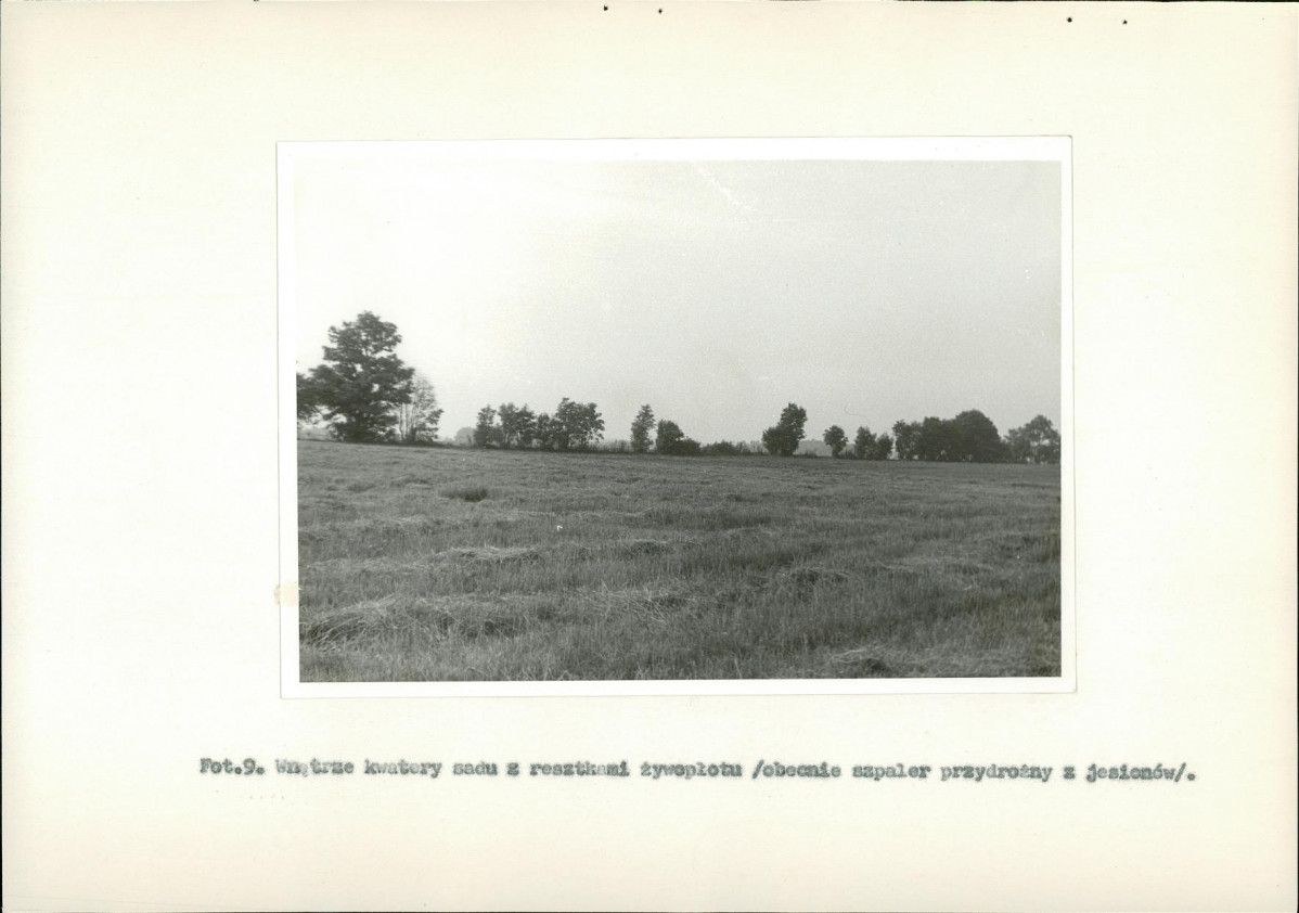 EP - Ewidencja parkowa, skan nr 36