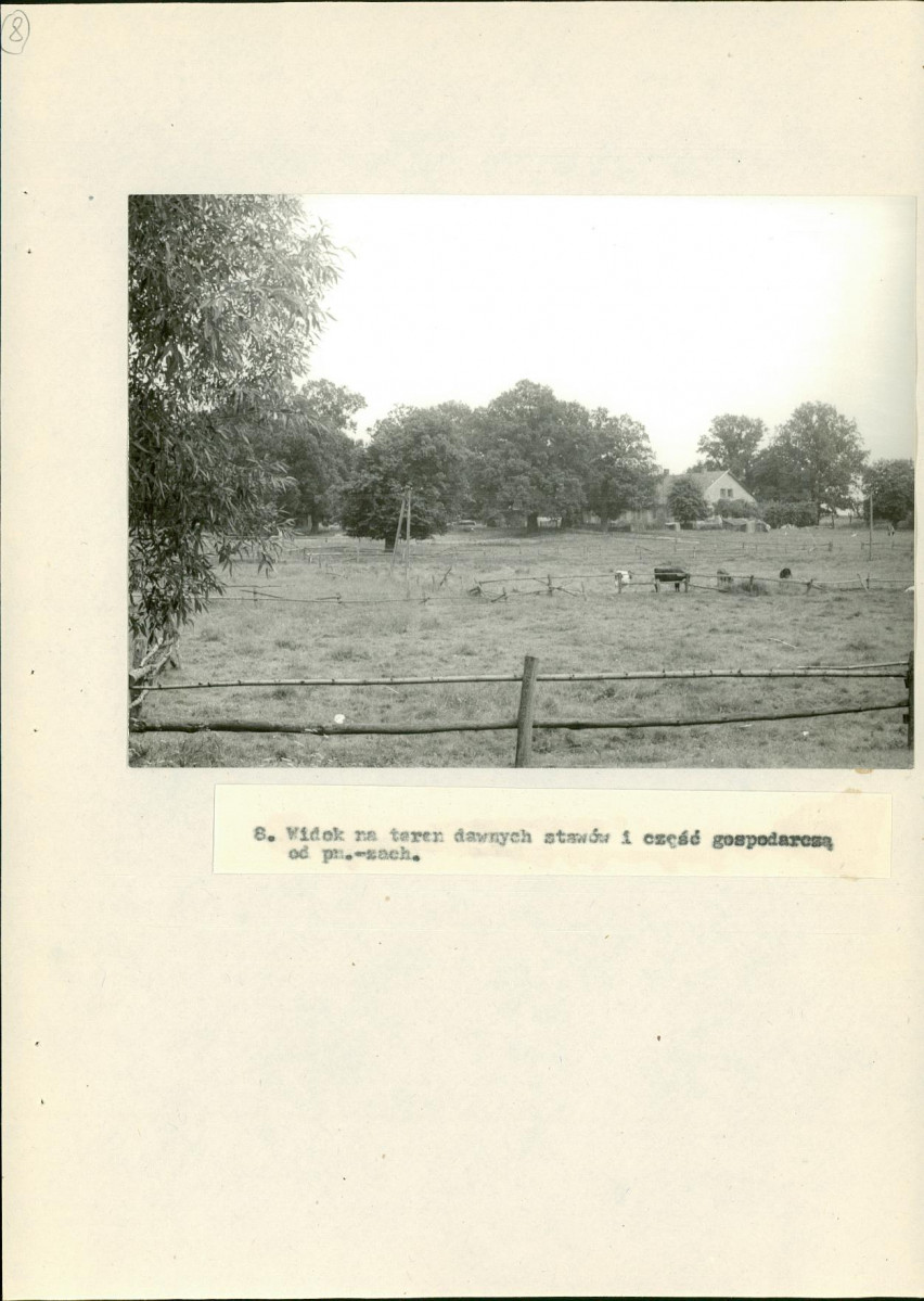 Ewidencja parkowa, skan nr 40