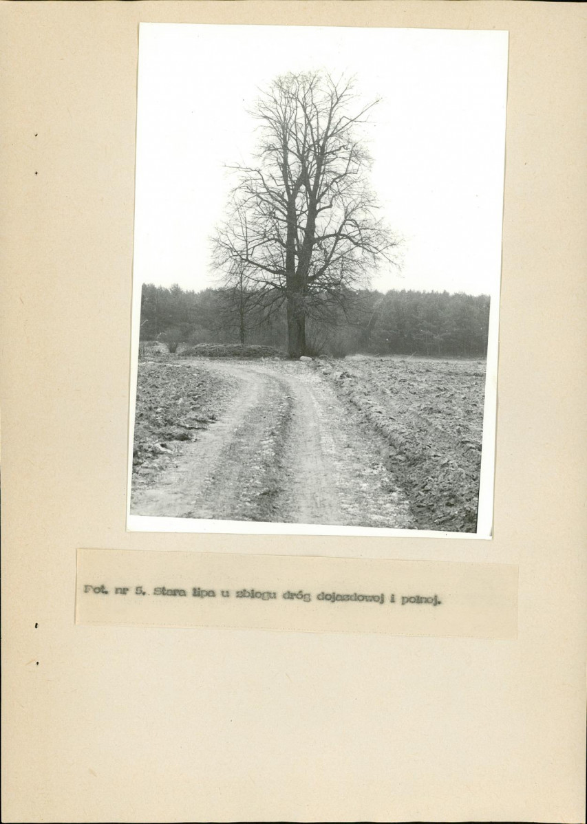 EP - Ewidencja parkowa, skan nr 26