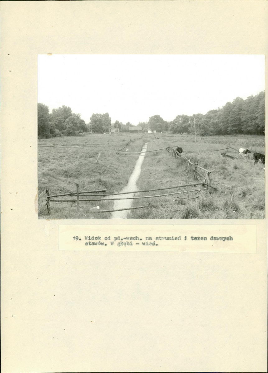 Ewidencja parkowa, skan nr 51
