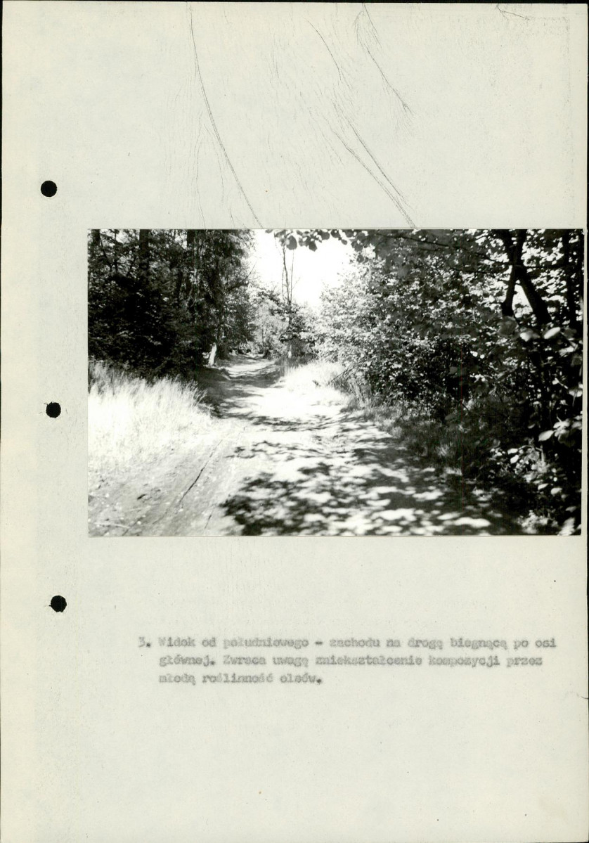 Ewidencja parkowa, skan nr 26