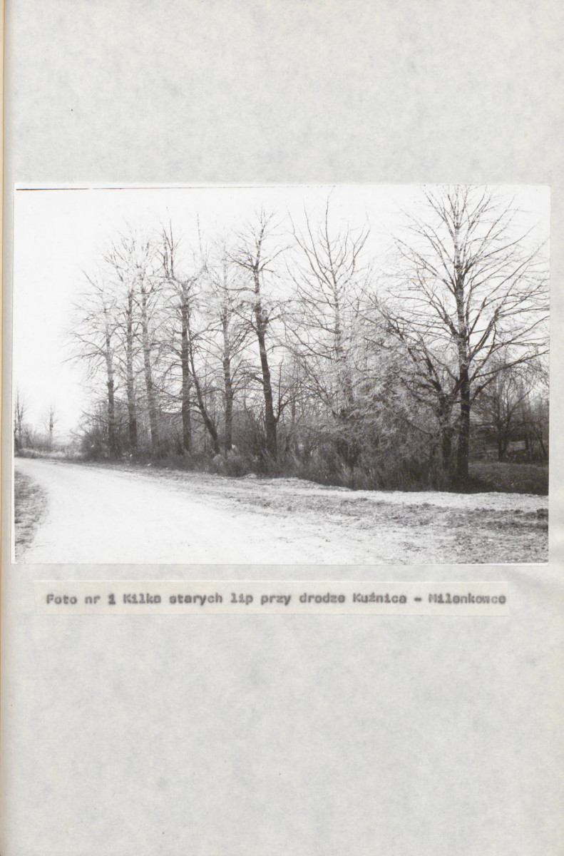 EP - Ewidencja parkowa, skan nr 25