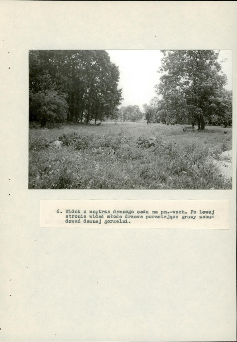 Ewidencja parkowa, skan nr 30