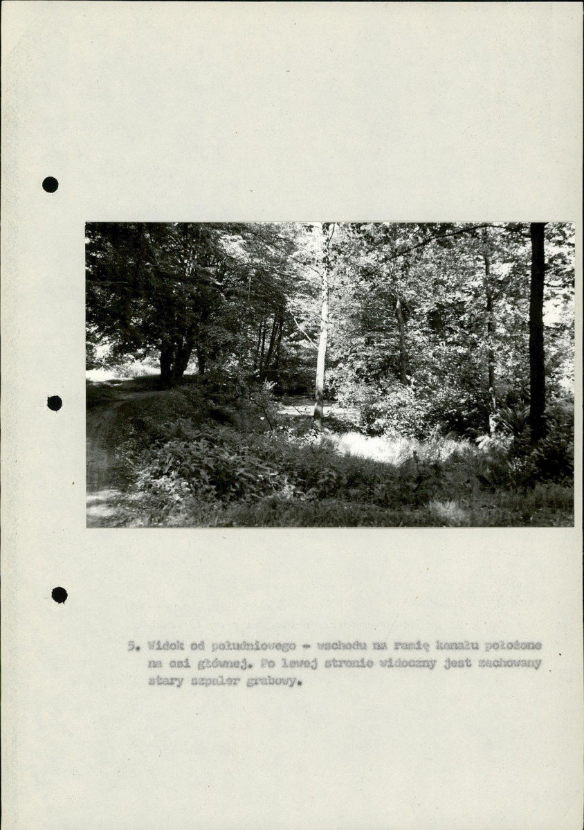 Ewidencja parkowa, skan nr 28