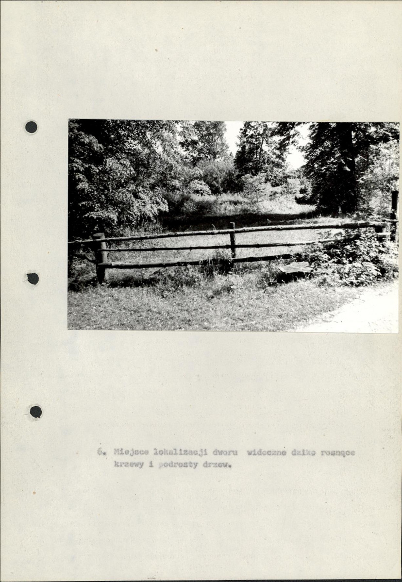 Ewidencja parkowa, skan nr 29