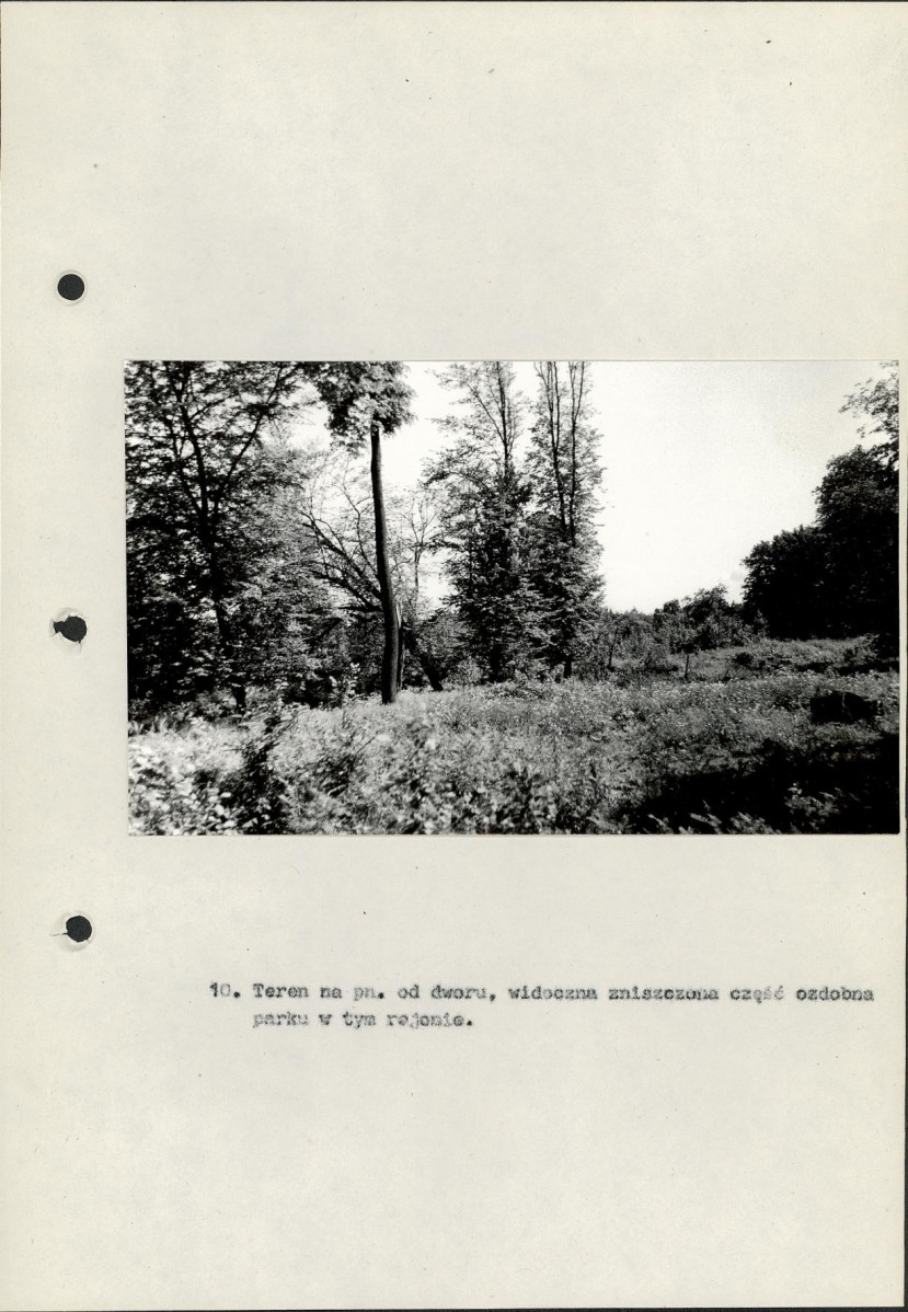 Ewidencja parkowa, skan nr 33