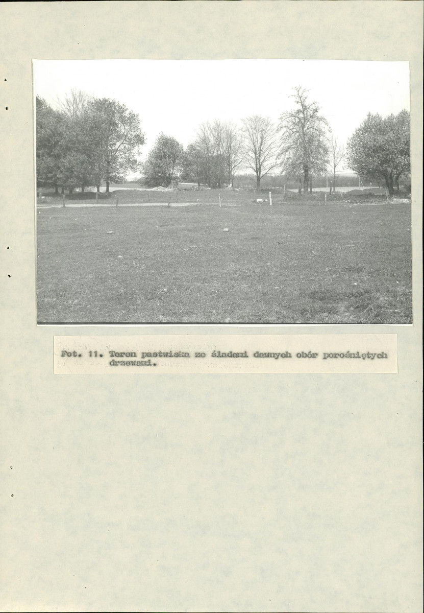 EP - Ewidencja parkowa, skan nr 39