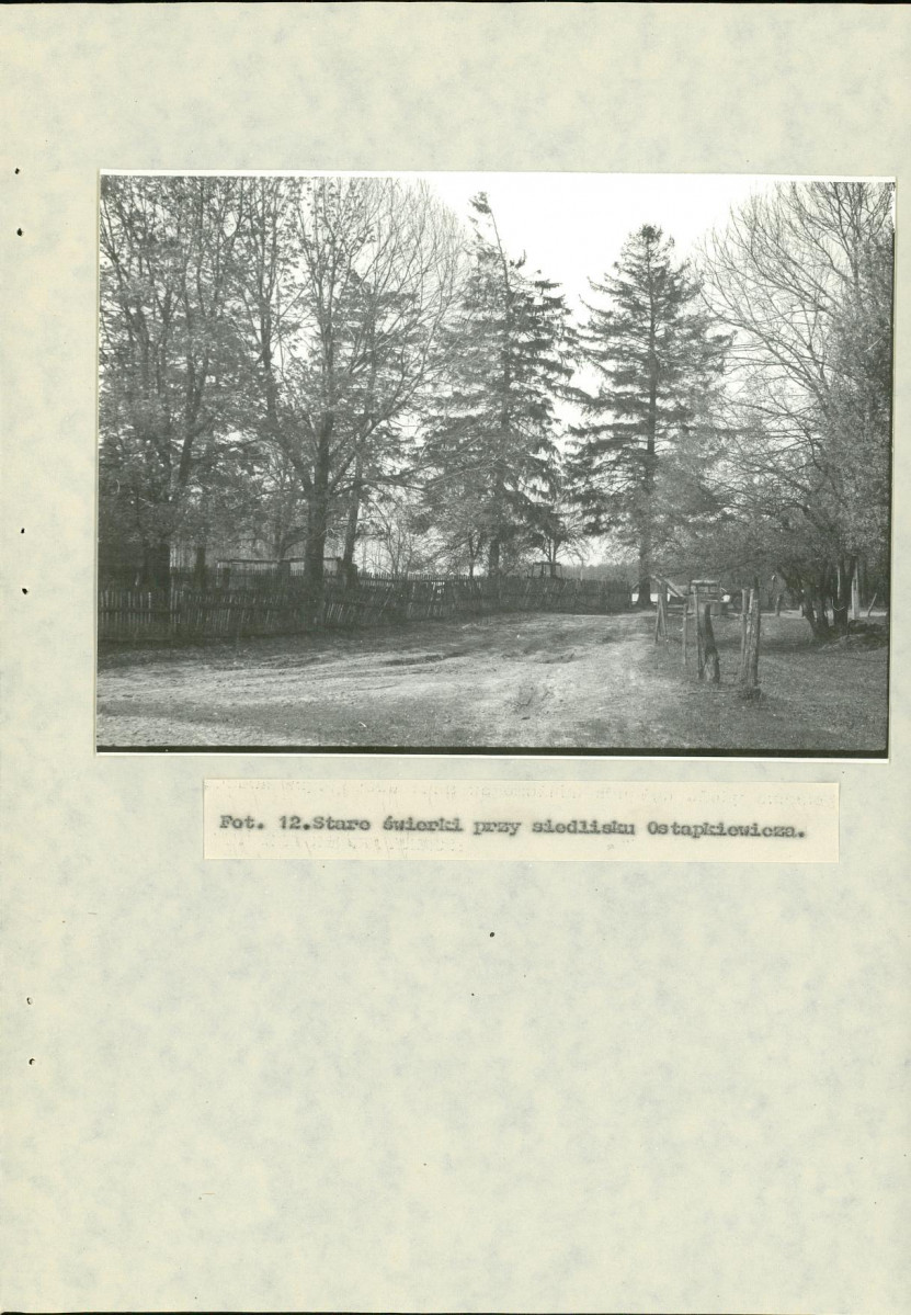 EP - Ewidencja parkowa, skan nr 40