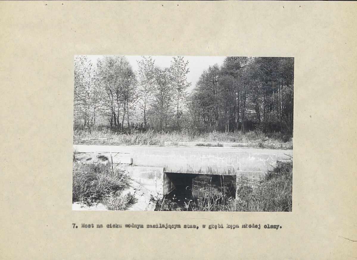 Ewidencja parkowa, skan nr 38