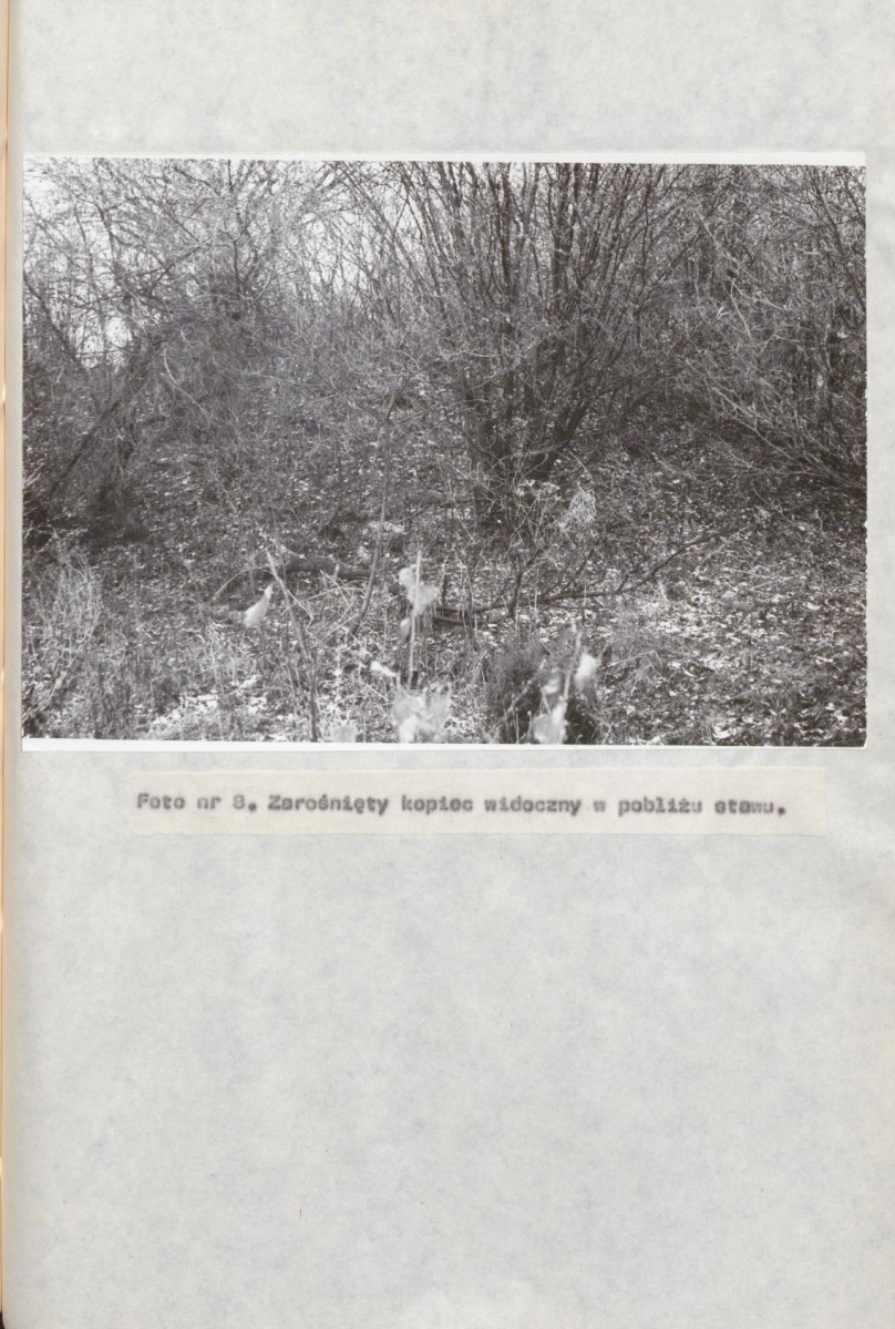 EP - Ewidencja parkowa, skan nr 32