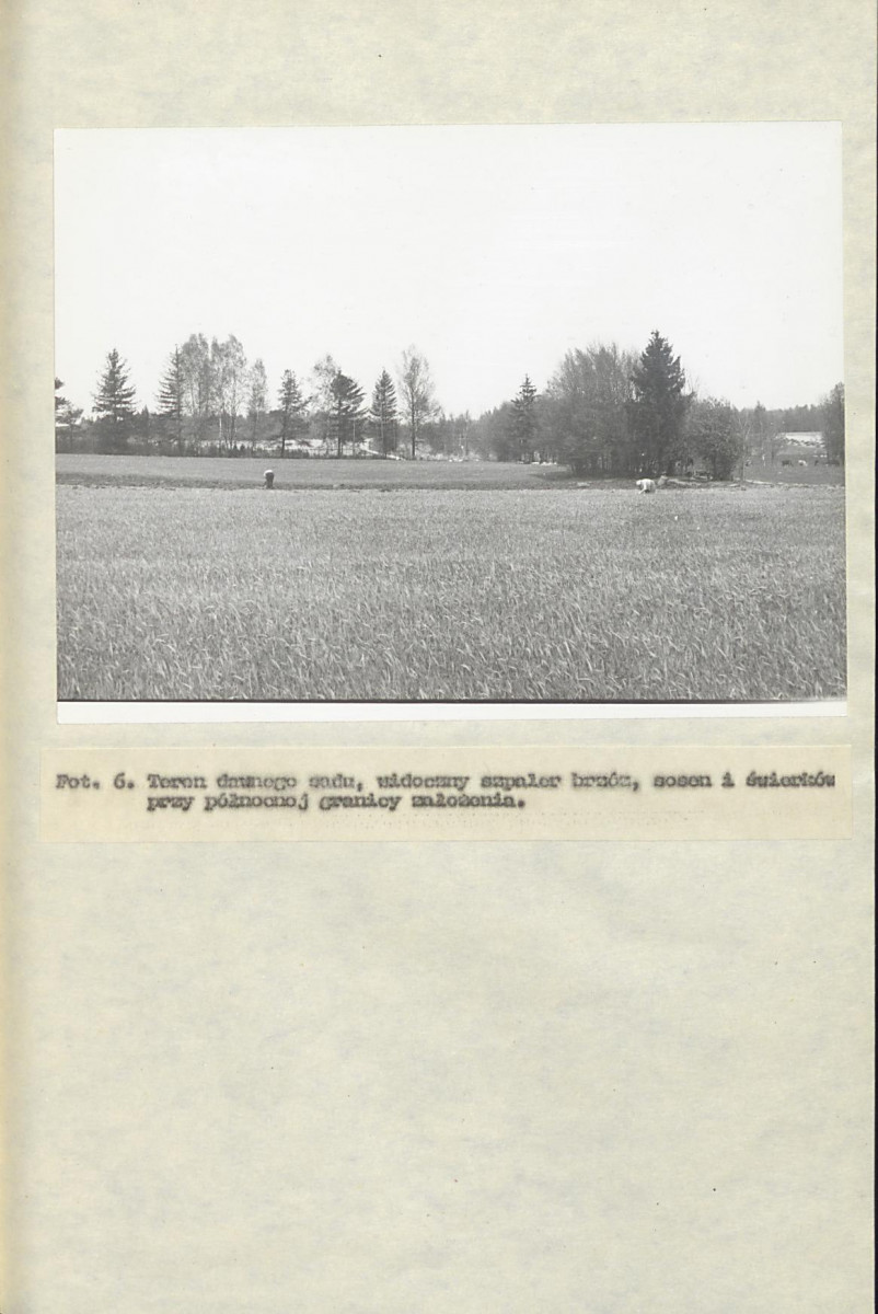 EP - Ewidencja parkowa, skan nr 25