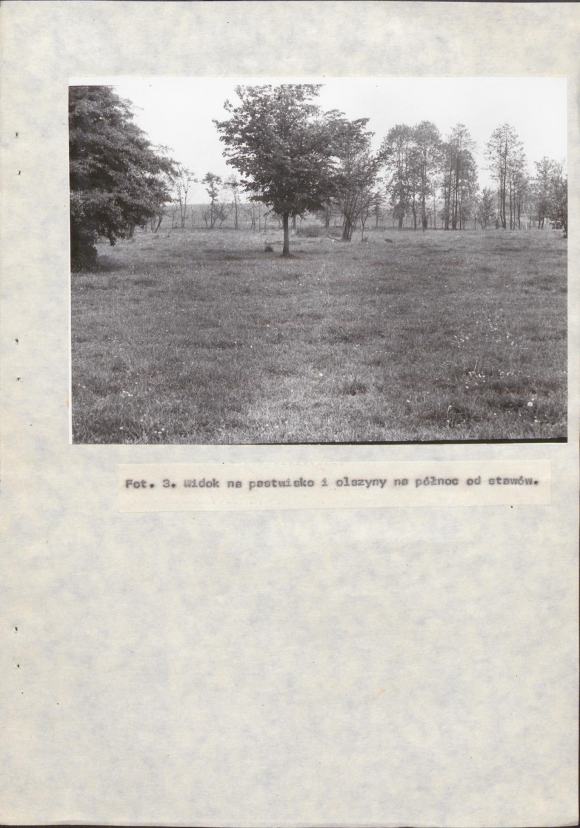 EP - Ewidencja parkowa, skan nr 22