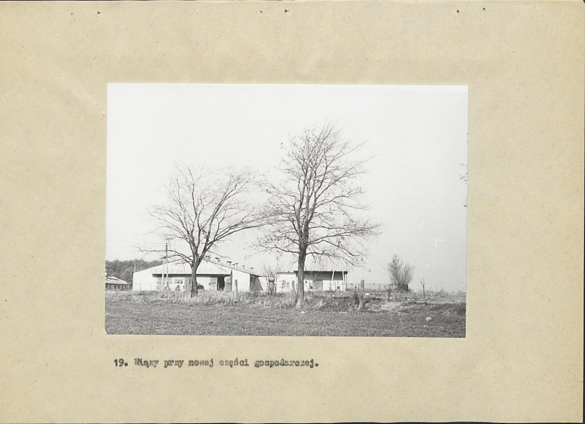 Ewidencja parkowa, skan nr 50