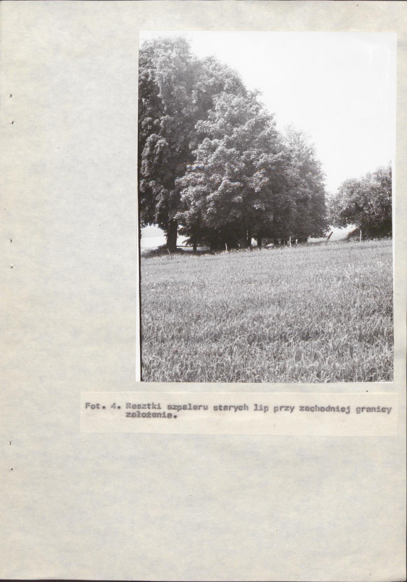EP - Ewidencja parkowa, skan nr 23