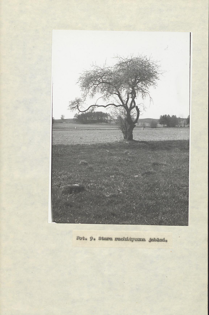 EP - Ewidencja parkowa, skan nr 28