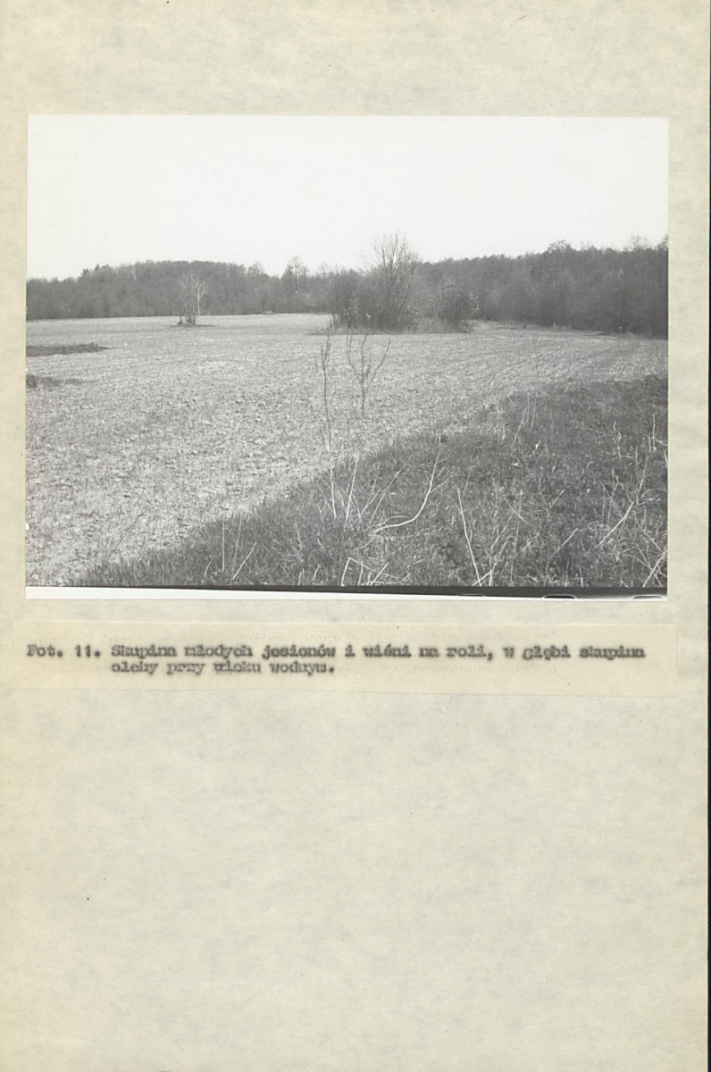 EP - Ewidencja parkowa, skan nr 30