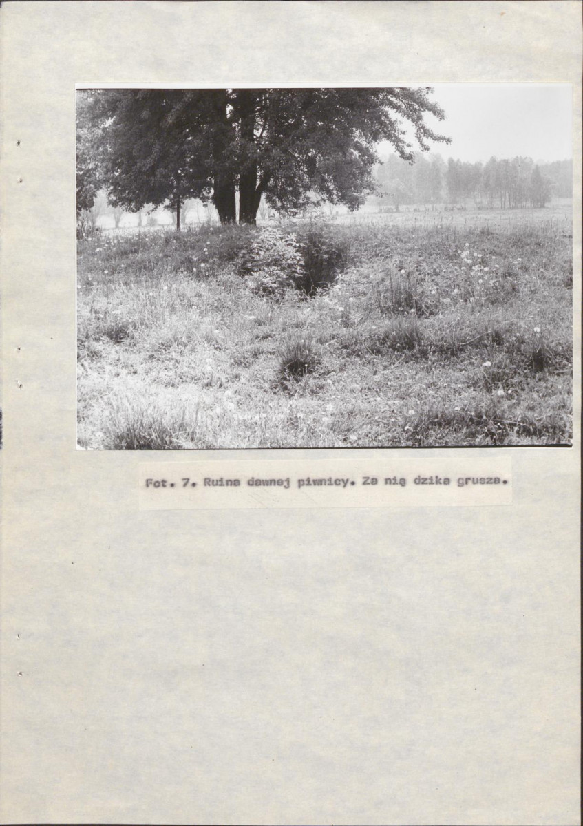 EP - Ewidencja parkowa, skan nr 26