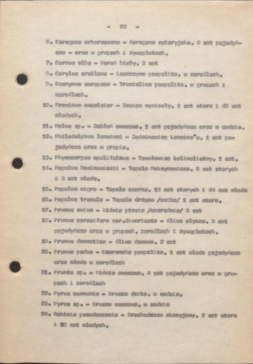 EP - Ewidencja parkowa, skan nr 27