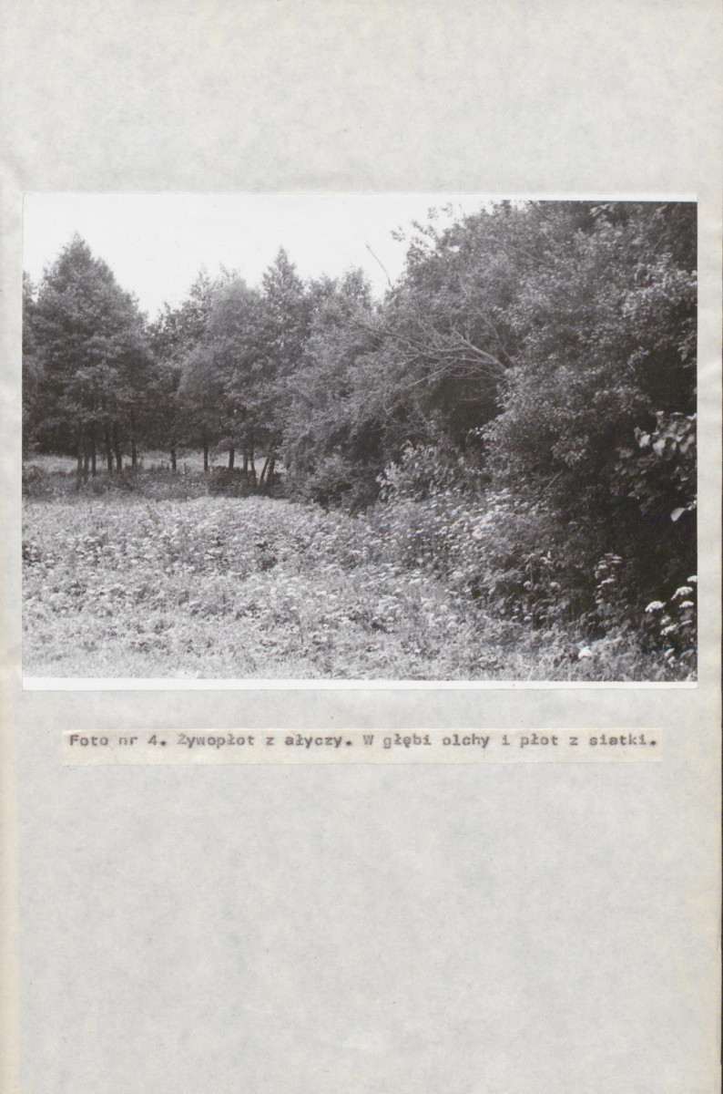 EP - Ewidencja parkowa, skan nr 38