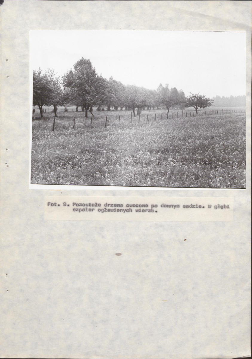 EP - Ewidencja parkowa, skan nr 28