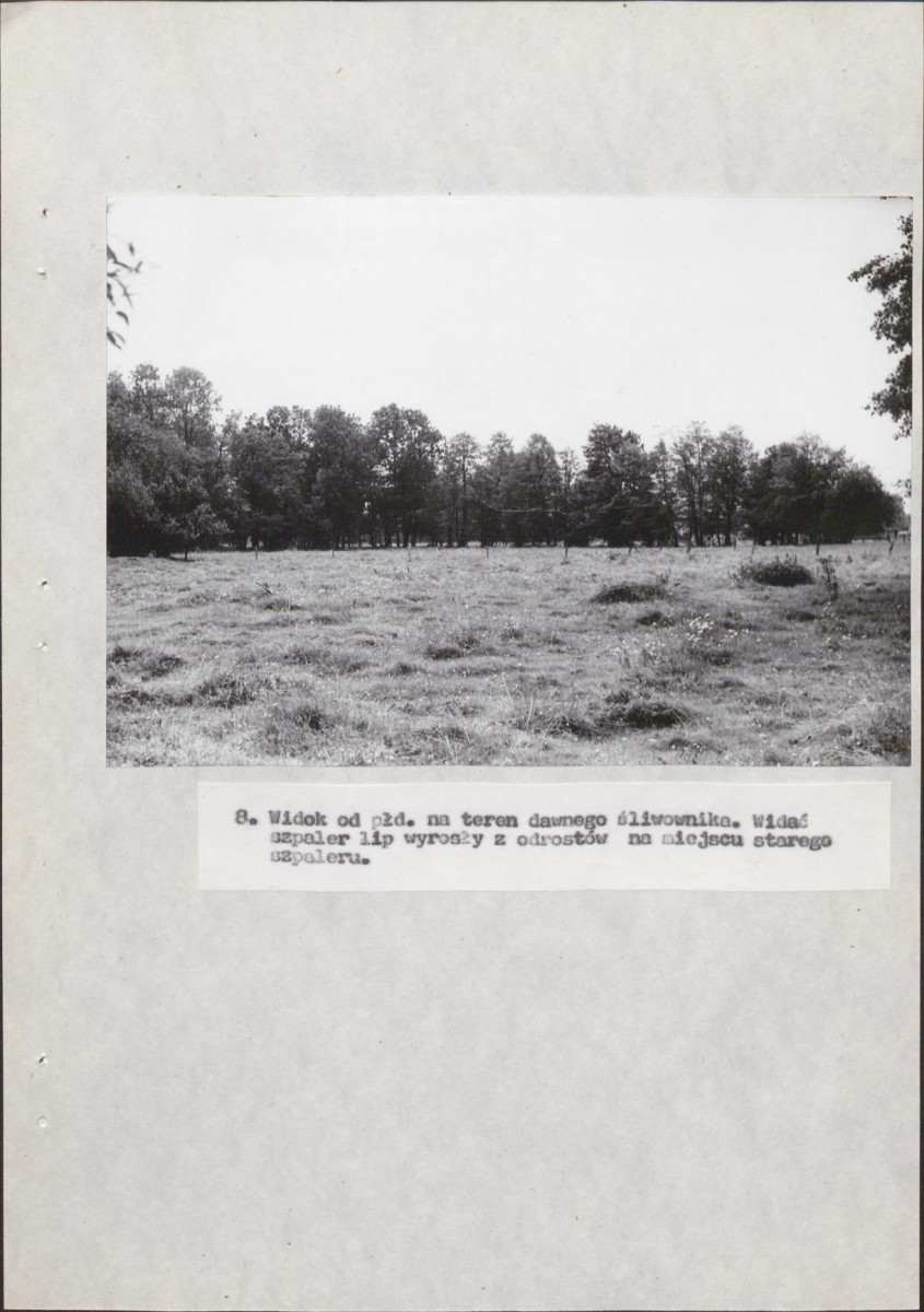 EP - Ewidencja parkowa, skan nr 32