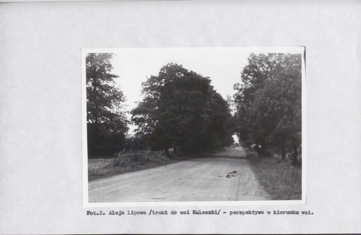 EP - Ewidencja parkowa, skan nr 28