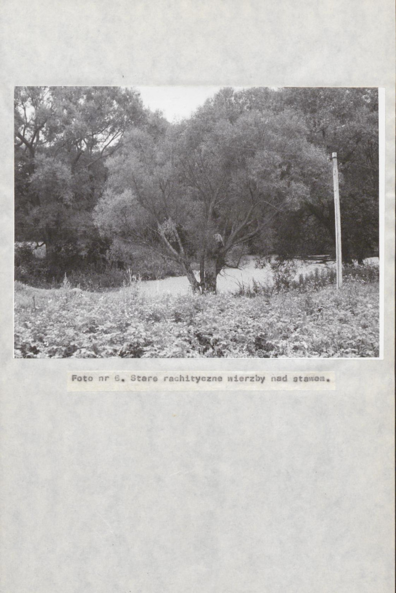 EP - Ewidencja parkowa, skan nr 40