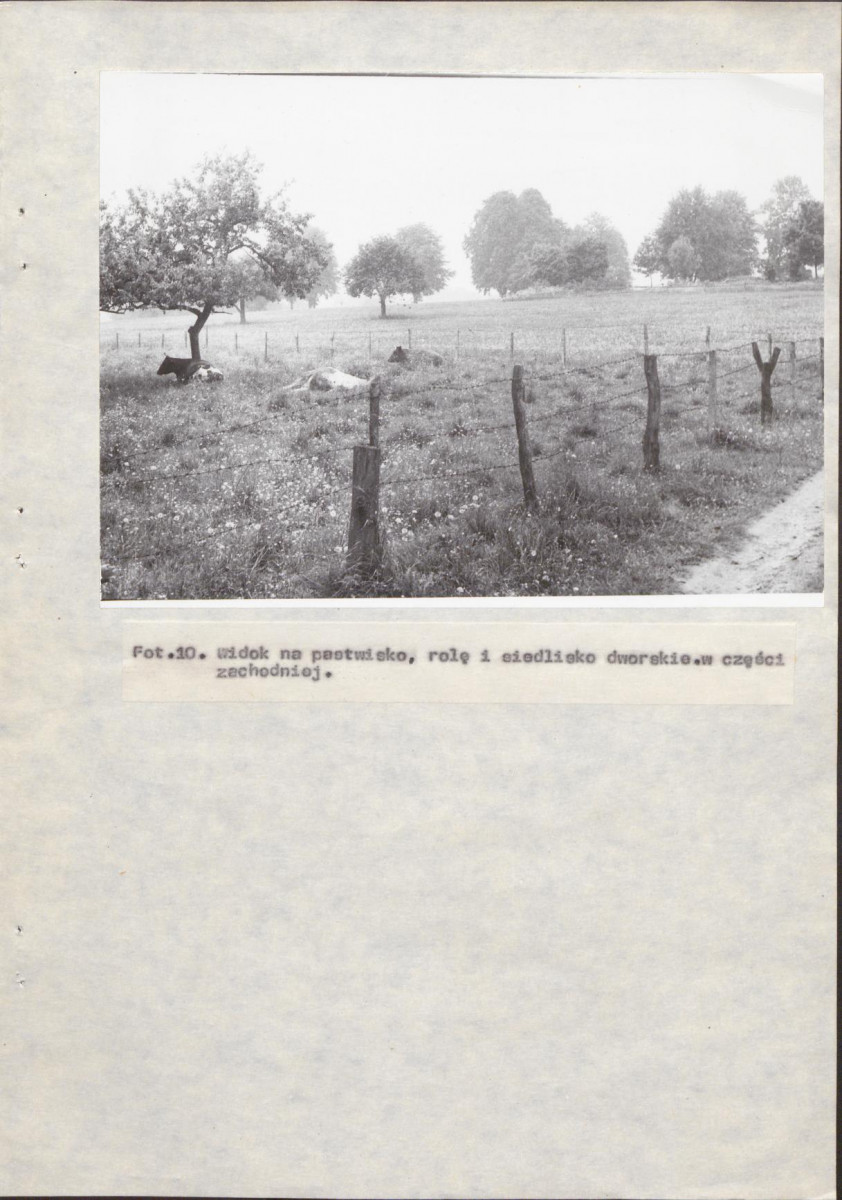 EP - Ewidencja parkowa, skan nr 29