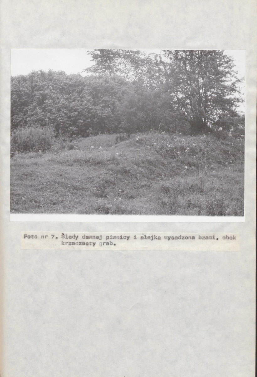 EP - Ewidencja parkowa, skan nr 41