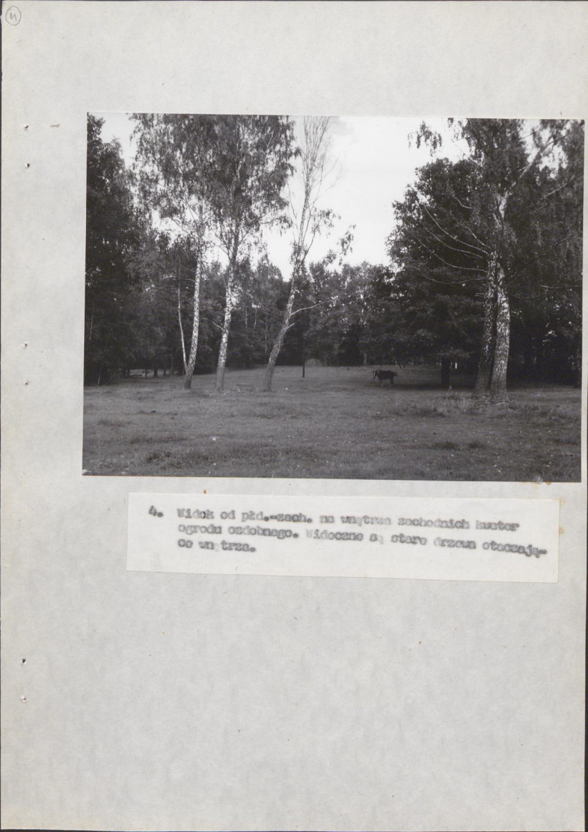 Ewidencja parkowa, skan nr 30