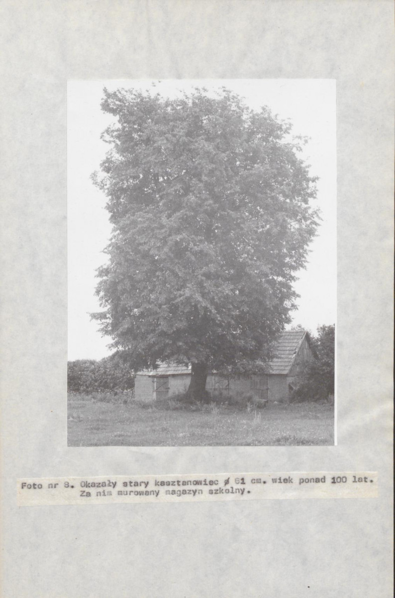 EP - Ewidencja parkowa, skan nr 42