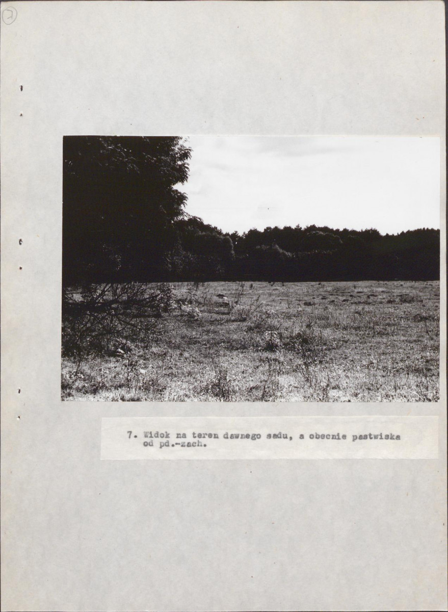 EP - Ewidencja parkowa, skan nr 31
