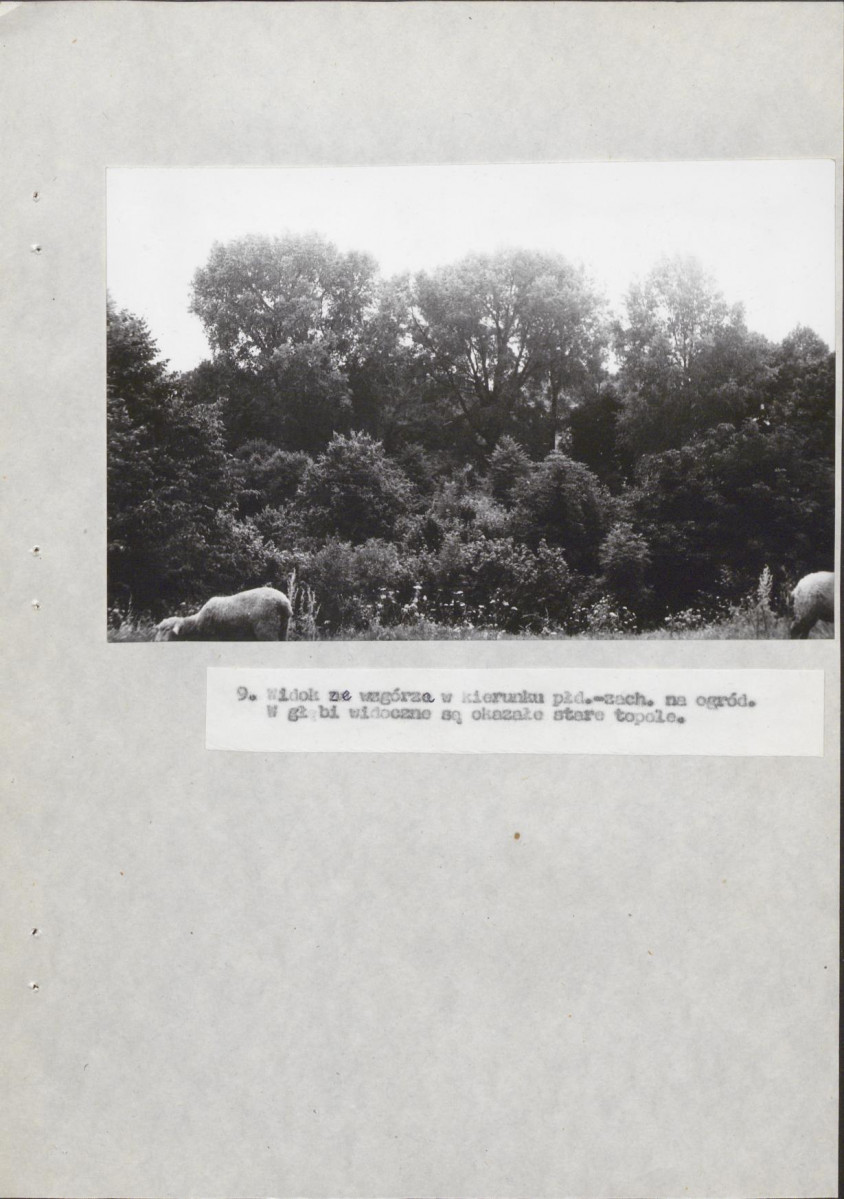Ewidencja parkowa, skan nr 34