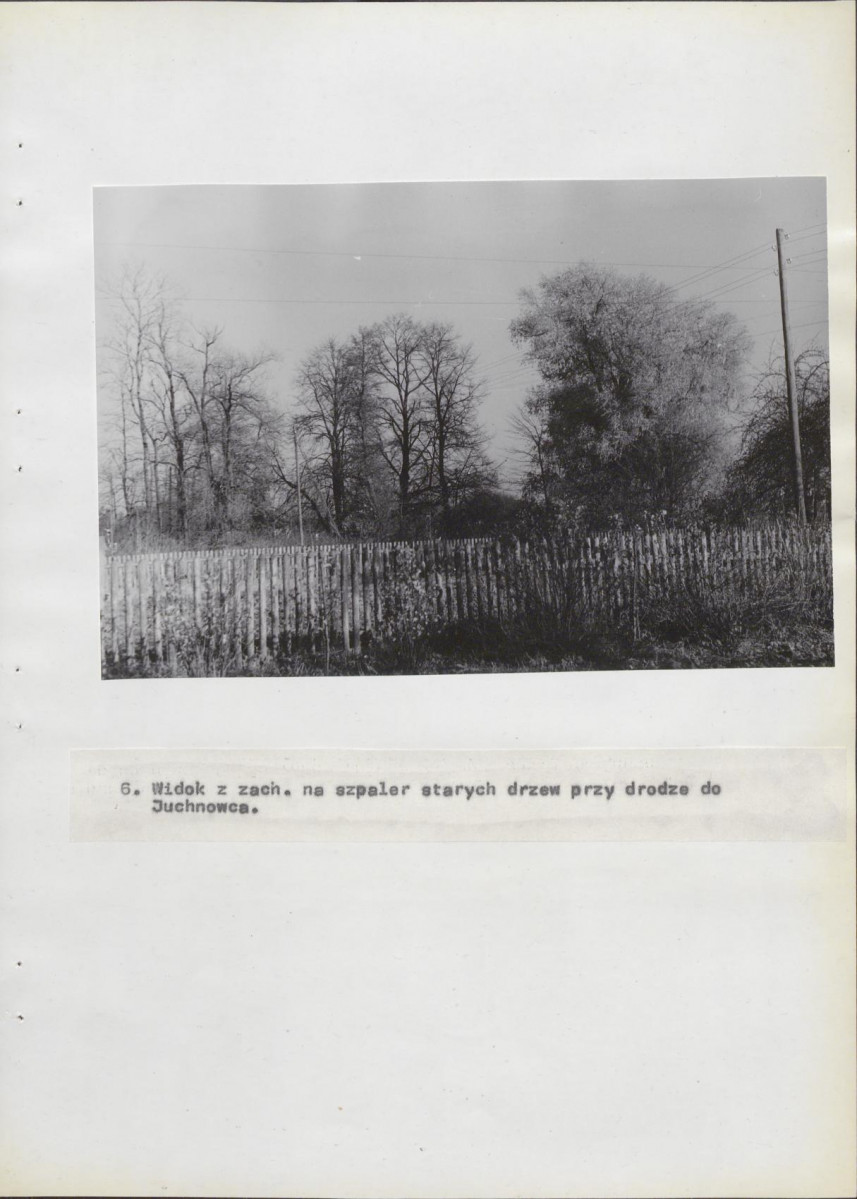 Ewidencja parkowa, skan nr 36